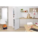 Холодильник Indesit DS4200W White 