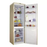 Холодильник DON R-291 ZF золотистый 