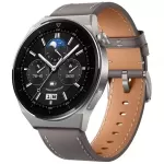 Купить Смарт-часы Huawei GT 3 Pro ODN-B19 Light Titanium / Gray Leather - Vlarnika