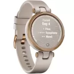 Купить Смарт-часы GARMIN Lily (010-02384-11) - Vlarnika