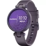 Купить Смарт-часы GARMIN Lily (010-02384-12) - Vlarnika