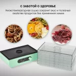 Купить Сушилка для овощей и фруктов Hyundai HYDF-5032, мятный, 5 поддонов - Vlarnika